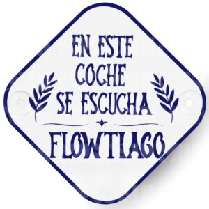 Placa coche - FLOWTIAGO